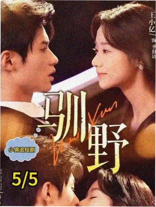 咸味海岸线剧集免费观看完整版